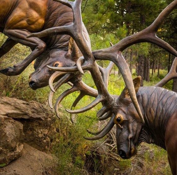 make an impact art high desert museum get involved